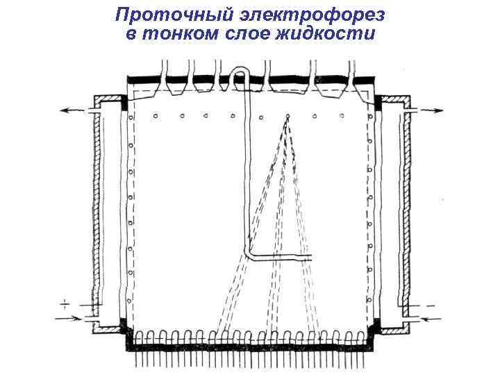 Проточный электрофорез в тонком слое жидкости 