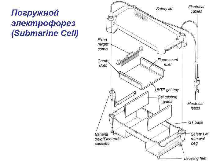 Погружной электрофорез (Submarine Cell) 