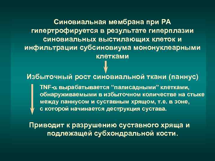  Синовиальная мембрана при РА  гипертрофируется в результате гиперплазии синовиальных выстилающих клеток