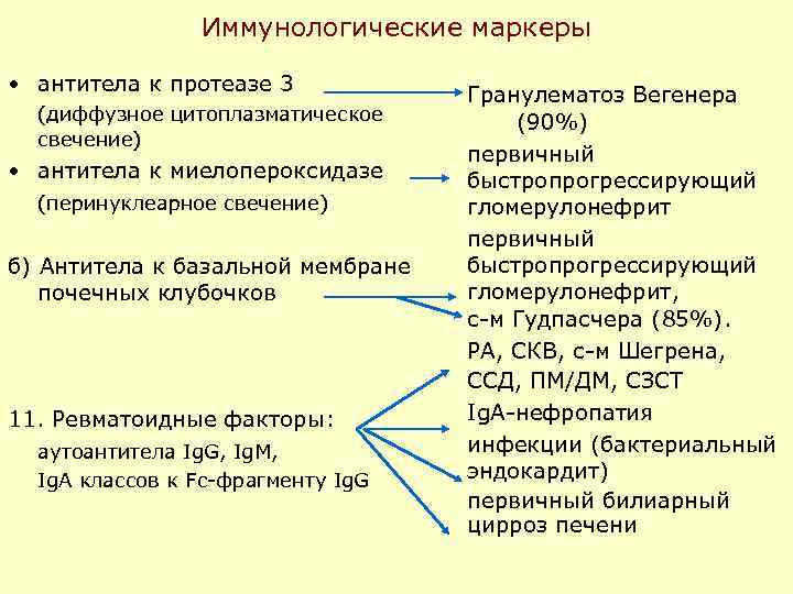  Иммунологические маркеры • антитела к протеазе 3 Гранулематоз Вегенера (диффузное цитоплазматическое (90%) свечение)