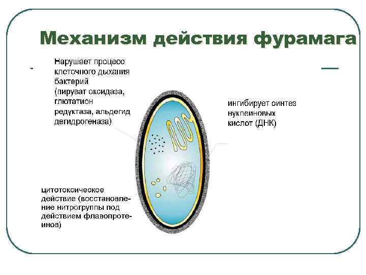    Применение НПВС Оказывают противовоспалительное действие  в связи с уменьшением энергетического