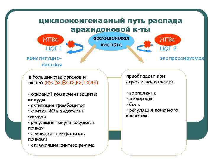  Факторы риска нефротоксичности НПВС • Применение нескольких НПВС одновременно;  • Применение высоких