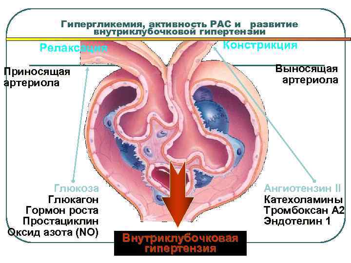  Рекомендованные интервалы мониторирования побочных эффектов ИАПФ и АРА II после начала терапии, увеличения