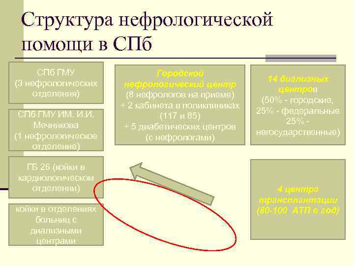  Структура нефрологической помощи в СПб ГМУ Городской 14 диализных (3 нефрологических нефрологический центр