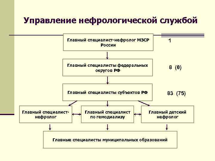 Управление нефрологической службой Главный специалист-нефролог МЗСР 1 России Главный специалисты федеральных округов РФ 8