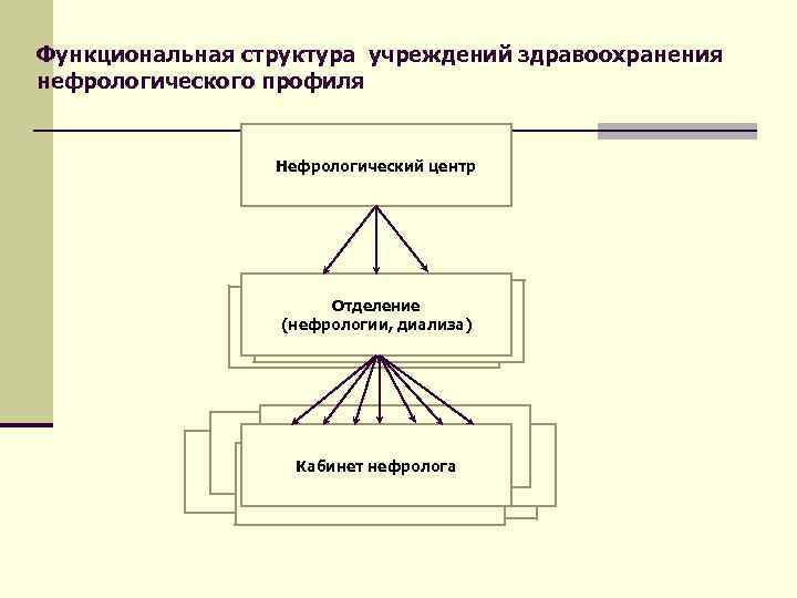 Функциональная структура учреждений здравоохранения нефрологического профиля Нефрологический центр Отделение (нефрологии, диализа) Кабинет нефролога 