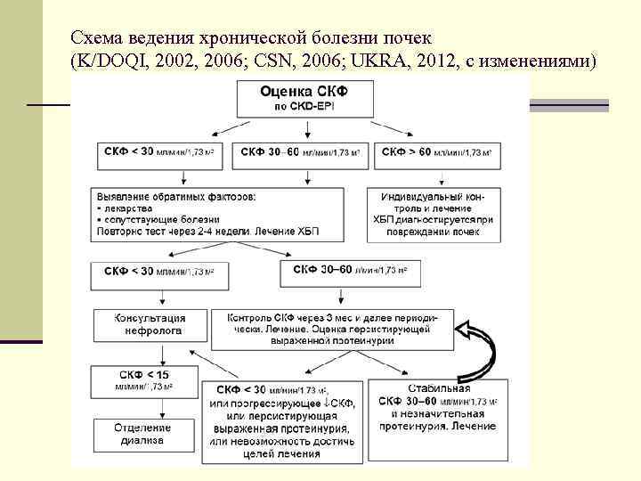 Схема ведения хронической болезни почек (K/DOQI, 2002, 2006; CSN, 2006; UKRA, 2012, с изменениями)