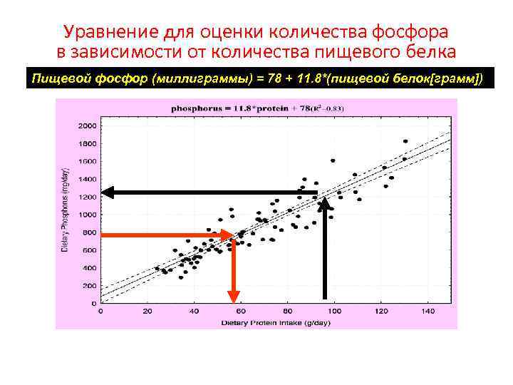  Уравнение для оценки количества фосфора в зависимости от количества пищевого белка Пищевой фосфор