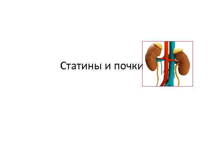 Статины и почки 