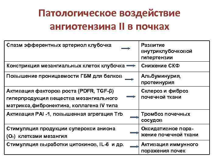   Патологическое воздействие    ангиотензина II в почках Спазм эфферентных артериол