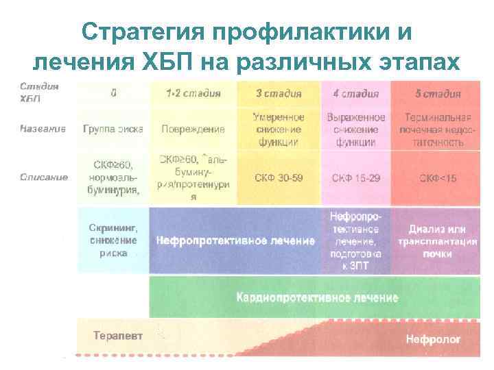 Стратегия профилактики. Стратегия и профилактика лечения ХПН на разных стадиях. Профилактика ХБП. Стратегия лечения ХБП на разных стадиях. Припудренность кожи при ХБП.