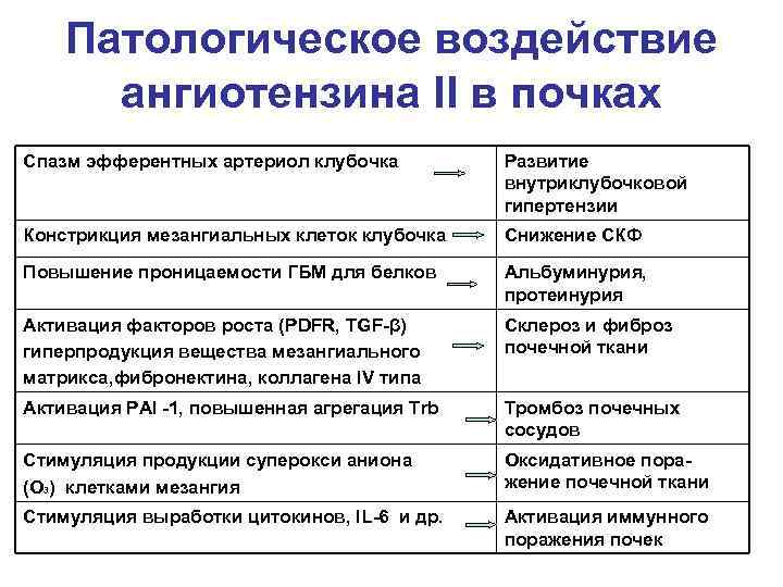  Патологическое воздействие ангиотензина II в почках Спазм эфферентных артериол клубочка Развитие внутриклубочковой гипертензии