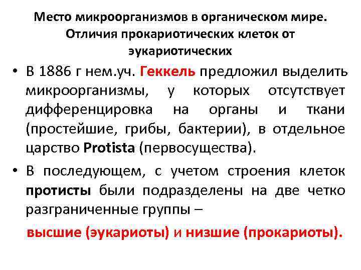  • У высших протистов клетки сходны с растительными и животными – это 