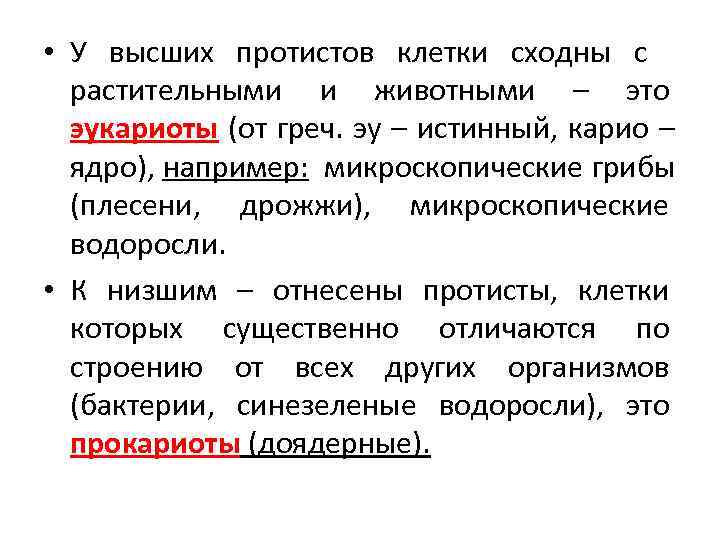 Прокариоты 