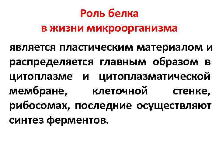   Роль белка в жизни микроорганизма является пластическим материалом и распределяется главным образом