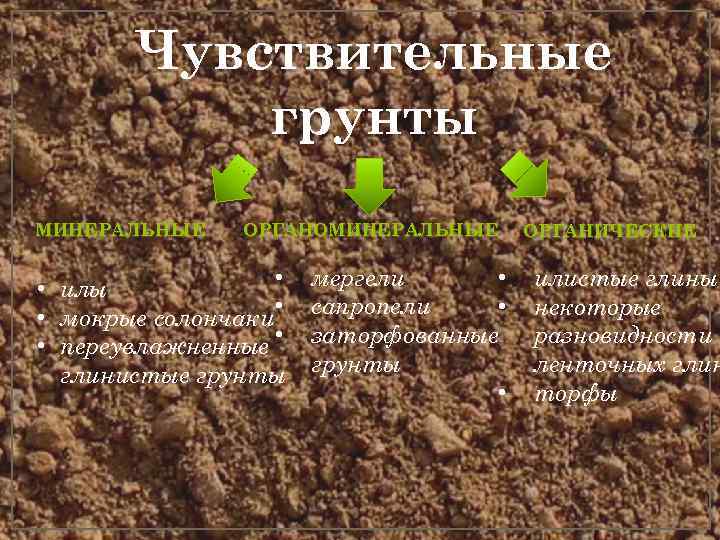   Чувствительные  грунты МИНЕРАЛЬНЫЕ  ОРГАНОМИНЕРАЛЬНЫЕ  ОРГАНИЧЕСКИЕ  • илы 