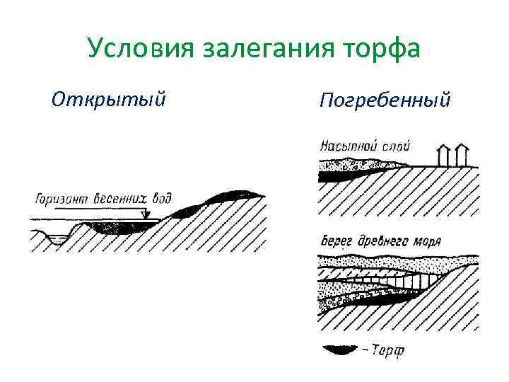  Условия залегания торфа Открытый   Погребенный 