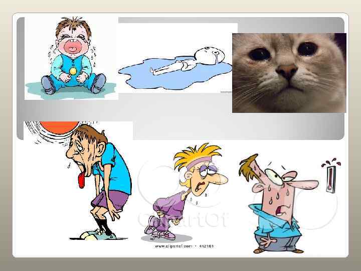 Причины засоления  бессточный рельеф;  недостаточное увлажнение  наличие в грунтах повышенного количества