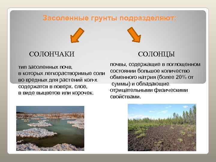   Классификация по степени засоленности      Степень засоленности Dsal,