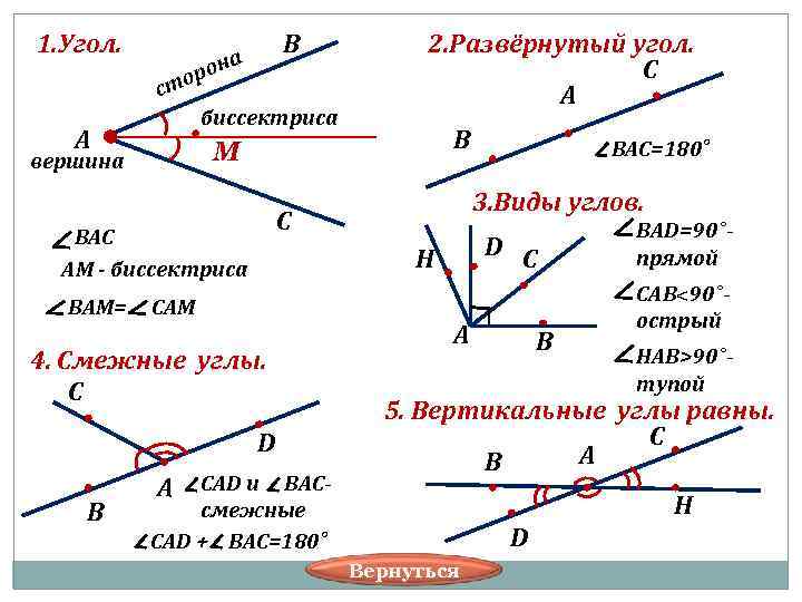 1. Угол. В 2. Развёрнутый угол. ор она С ст А биссектриса А М