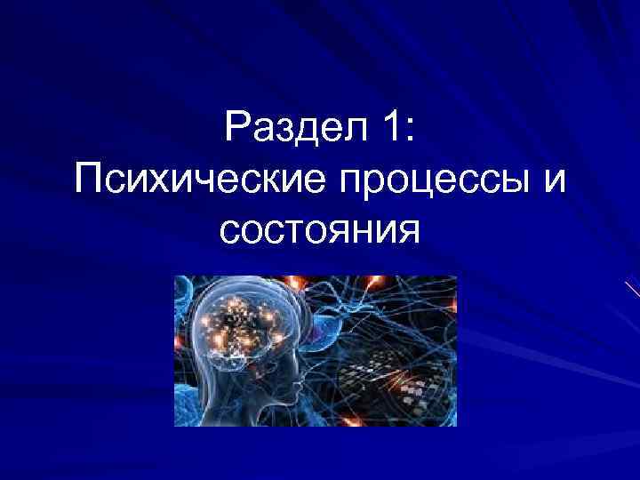  Раздел 1: Психические процессы и состояния 