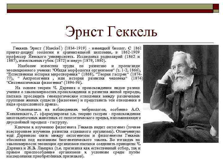  Эрнст Геккель Эрнст ( Haeckel ) (1834 -1919) - немецкий биолог. С 1861