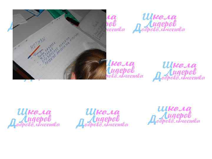 Проект реализовывала: Региональная  общественная организация «Центр развития  гражданского общества  Республики Алтай