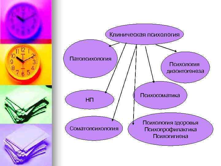  Клиническая психология Патопсихология Психология дизонтогенеза Психосоматика НП Психология здоровья Соматопсихология Психопрофилактика Психогигиена 