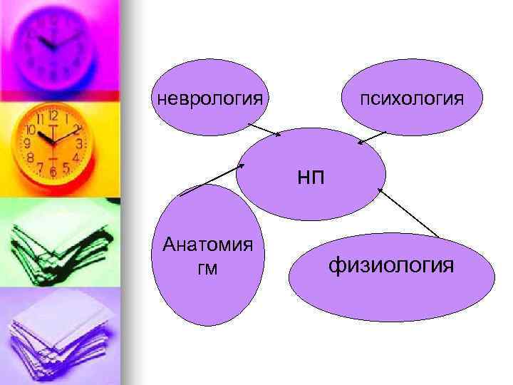 неврология психология нп Анатомия гм физиология 