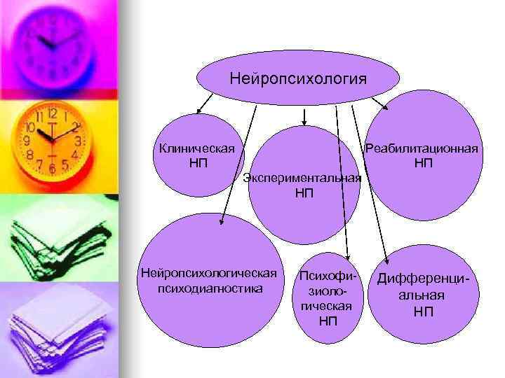  Нейропсихология Клиническая Реабилитационная НП НП Экспериментальная НП Нейропсихологическая Психофи- Дифференци- психодиагностика зиоло- альная