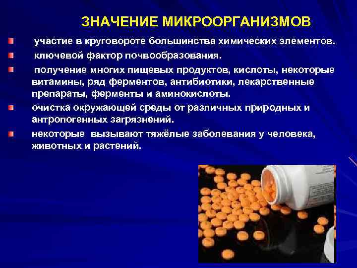  ЗНАЧЕНИЕ МИКРООРГАНИЗМОВ участие в круговороте большинства химических элементов. ключевой фактор почвообразования. получение многих