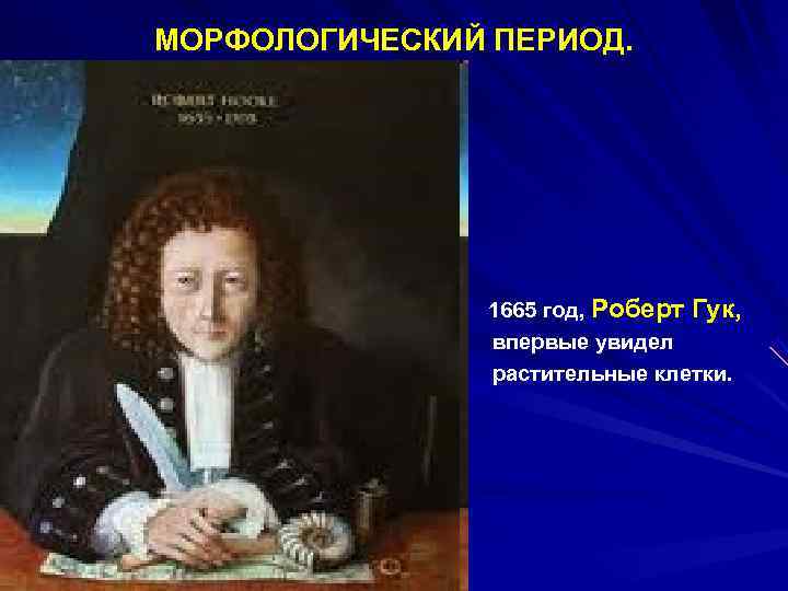  МОРФОЛОГИЧЕСКИЙ ПЕРИОД. 1665 год, Роберт Гук, впервые увидел растительные клетки. 