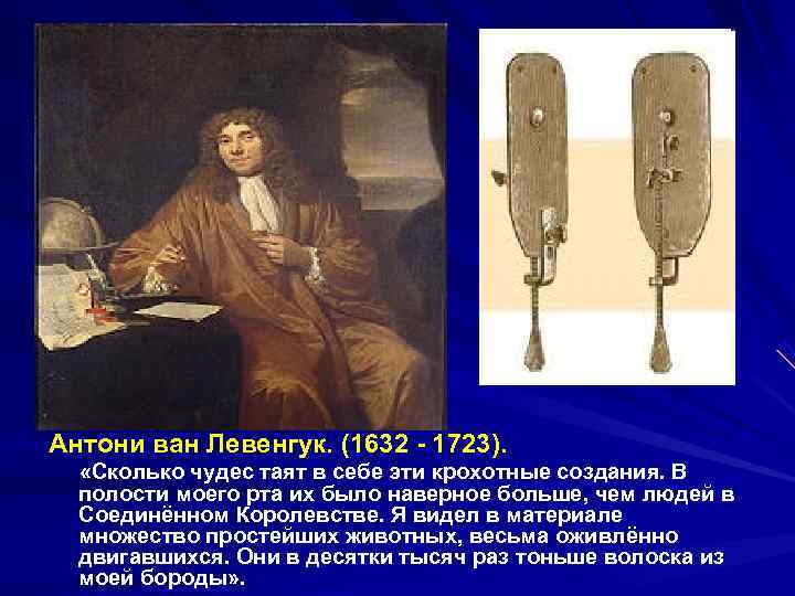 Антони ван Левенгук. (1632 - 1723). «Сколько чудес таят в себе эти крохотные создания.