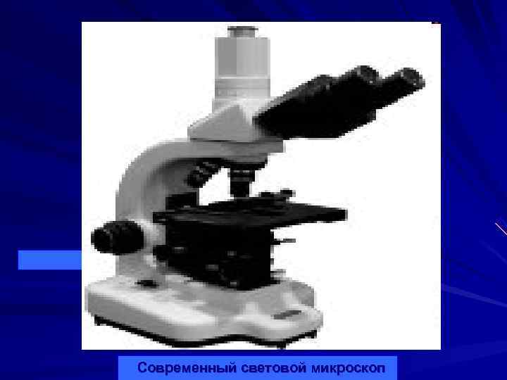 Современный световой микроскоп 