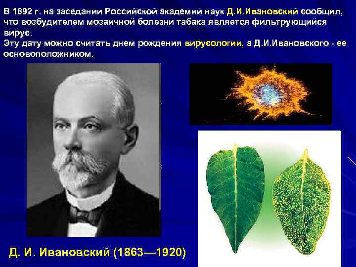 В 1892 г. на заседании Российской академии наук Д. И. Ивановский сообщил, что возбудителем