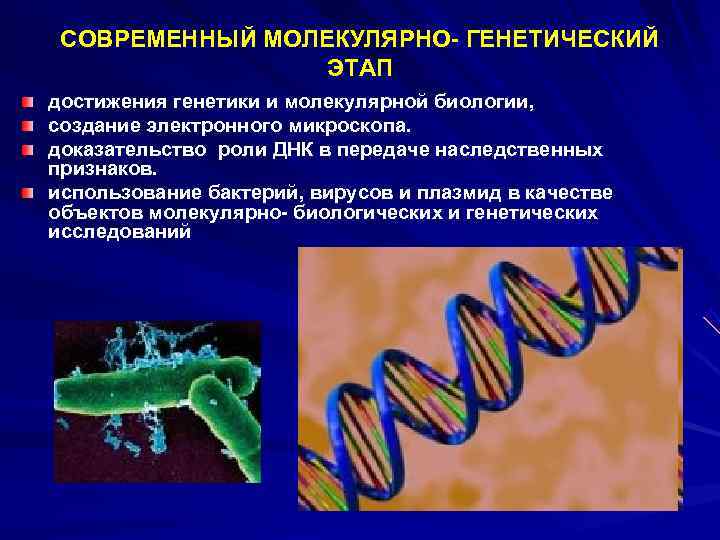  СОВРЕМЕННЫЙ МОЛЕКУЛЯРНО- ГЕНЕТИЧЕСКИЙ ЭТАП достижения генетики и молекулярной биологии, создание электронного микроскопа. доказательство