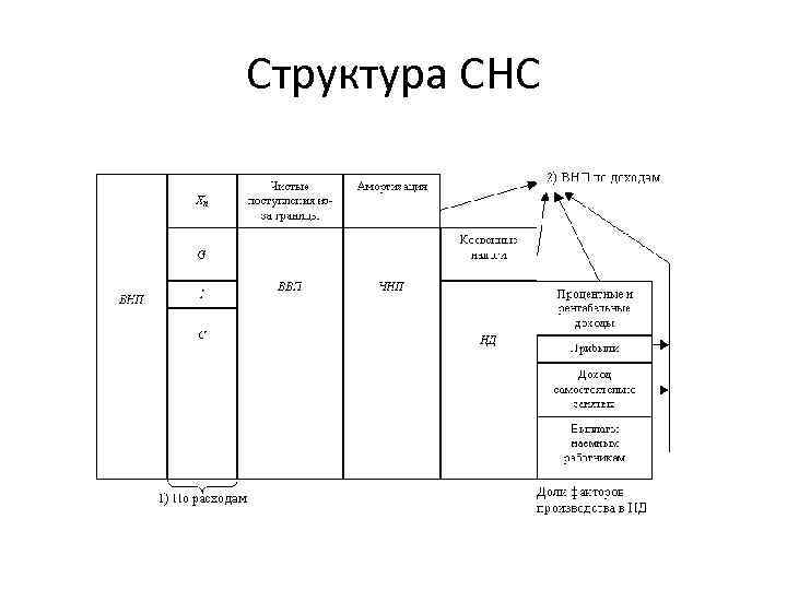 Структура СНС 