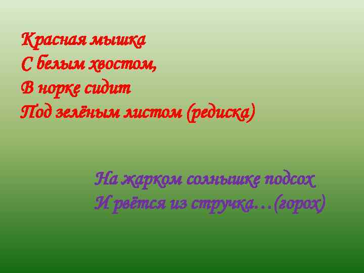 Красная мышка С белым хвостом, В норке сидит Под зелёным листом (редиска) На жарком