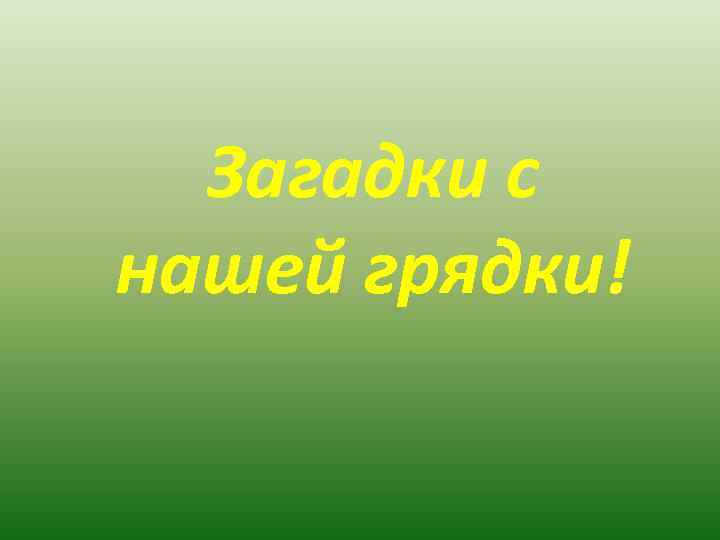  Загадки с нашей грядки! 