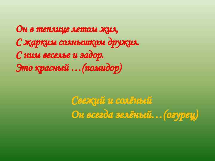 Он в теплице летом жил, С жарким солнышком дружил. С ним веселье и задор.