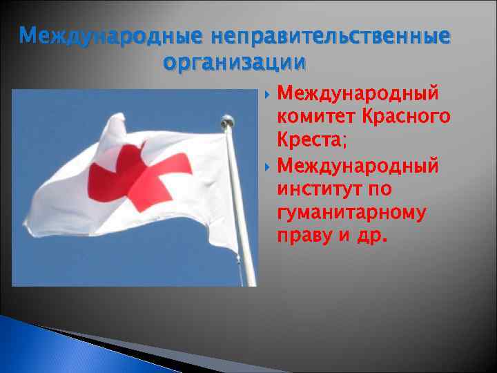 Международные неправительственные организации Международный комитет Красного Креста; Международный институт по гуманитарному праву и др.
