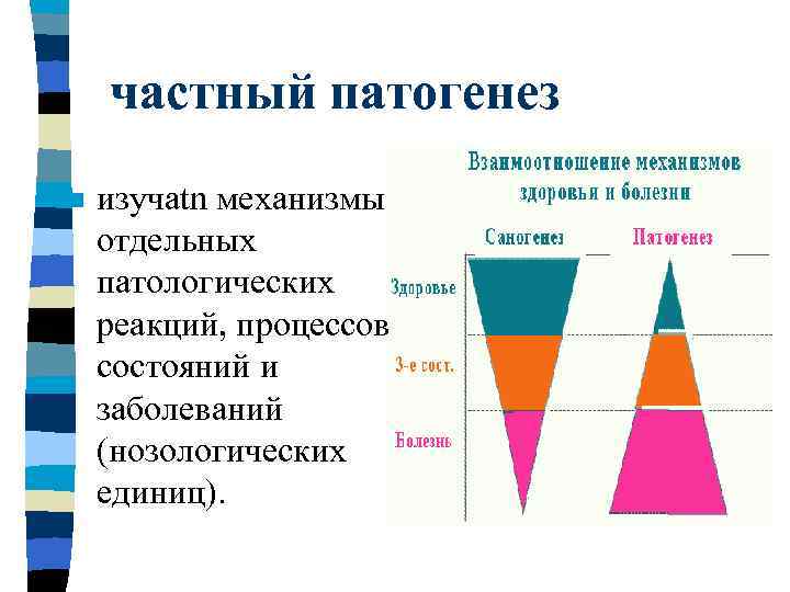   частный патогенез n  изучаtn механизмы отдельных патологических реакций, процессов, состояний и
