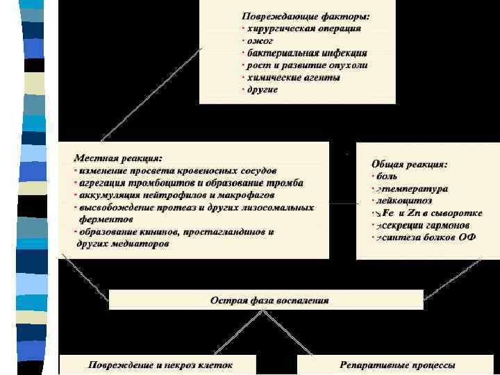   ВОСПАЛЕНИЕ   Факторы n  воздействие газов, пыли, n  функциональные