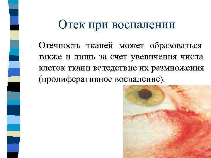     Воспаление n  Благодаря повышению температуры ускоряются процессы обмена веществ