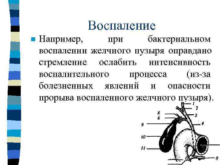    Воспаление n  При кожной же инфекции (абсцесс), наоборот, быстрый прорыв