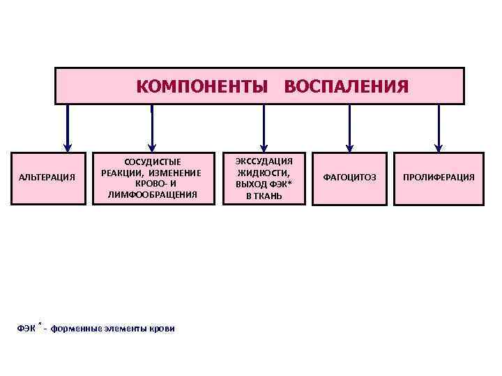  КОМПОНЕНТЫ ВОСПАЛЕНИЯ СОСУДИСТЫЕ ЭКССУДАЦИЯ АЛЬТЕРАЦИЯ РЕАКЦИИ, ИЗМЕНЕНИЕ ЖИДКОСТИ, ФАГОЦИТОЗ ПРОЛИФЕРАЦИЯ КРОВО- И ВЫХОД