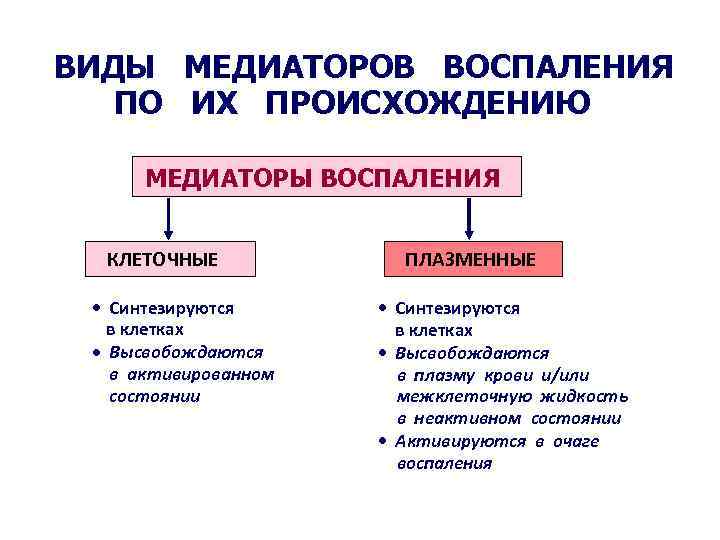 Медиаторы воспаления вызывают схема