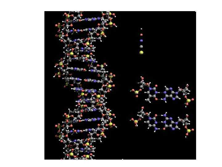   Митотическое деление клеток высших растений имеет ряд характерных    