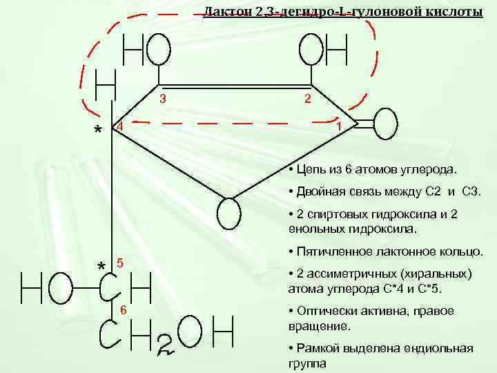  Лактон 2, 3 -дегидро-L-гулоновой кислоты 3 2 4 1 * • Цепь из