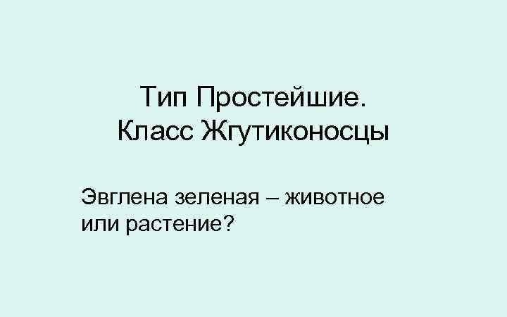  Тип Простейшие. Класс Жгутиконосцы Эвглена зеленая – животное или растение? 